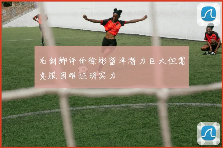 毛剑卿评价徐彬留洋潜力巨大但需克服困难证明实力